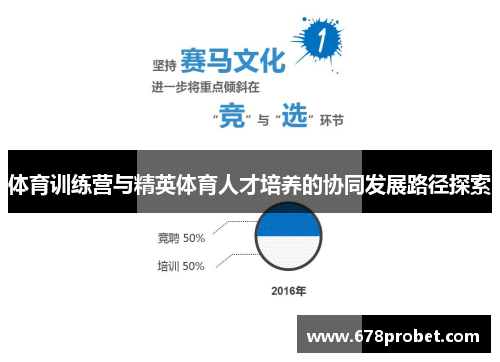 体育训练营与精英体育人才培养的协同发展路径探索