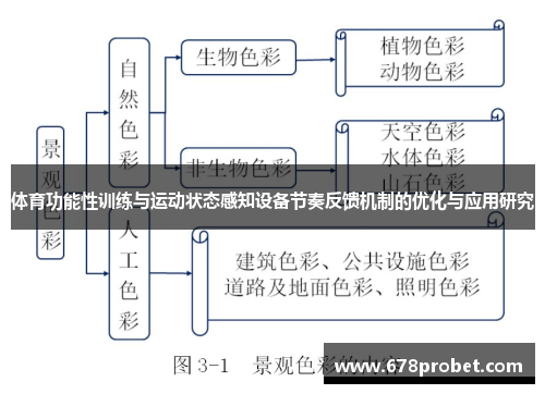 体育功能性训练与运动状态感知设备节奏反馈机制的优化与应用研究